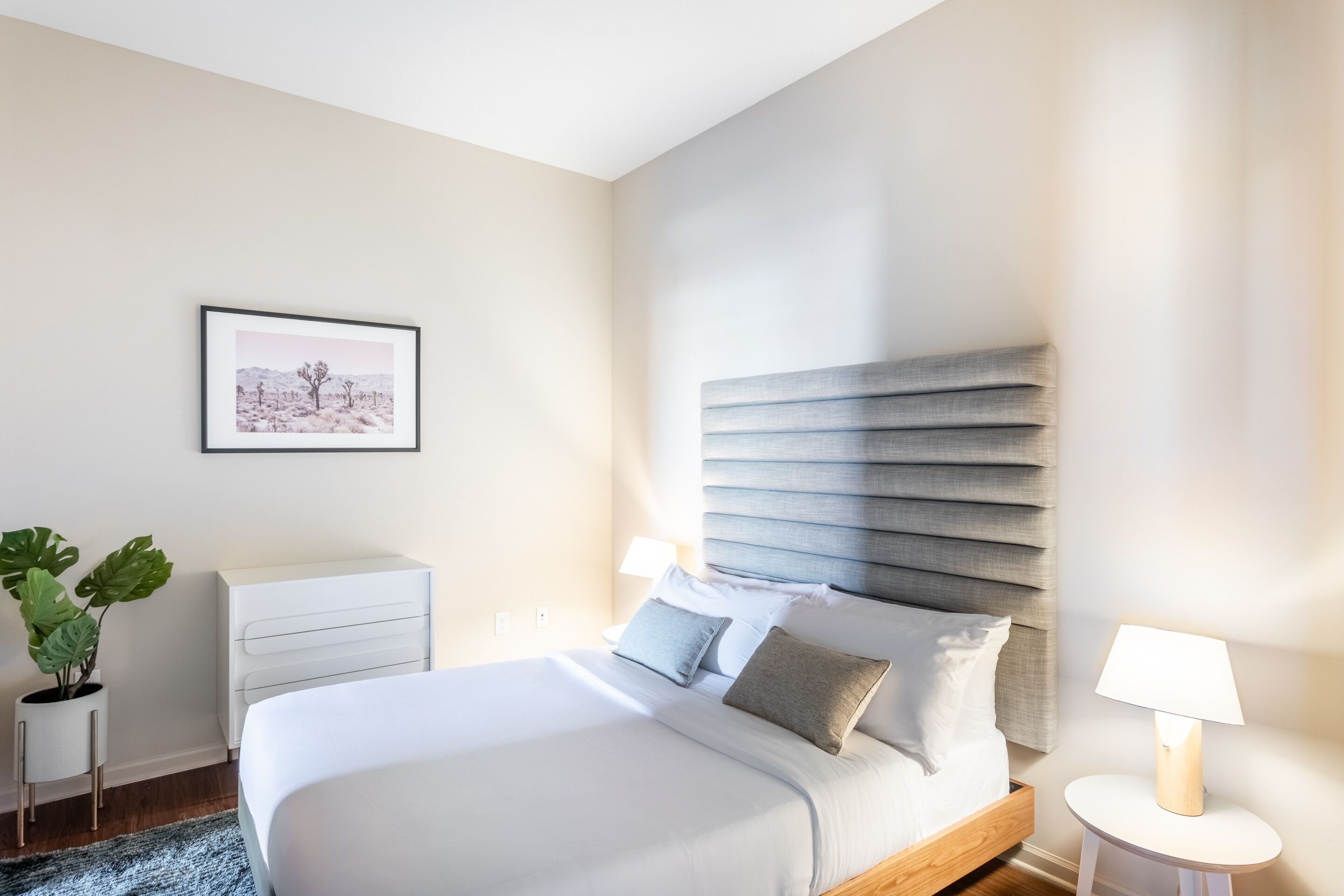 Ein modernes Schlafzimmer mit einem großen Bett, Nachttischen, einem Beistelltisch, einem gerahmten Bild an der Wand und einer Topfpflanze.