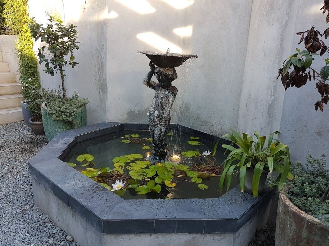 Una fuente con una cuenca y lirios acuáticos en un estanque cuadrado, rodeado de plantas en macetas.
