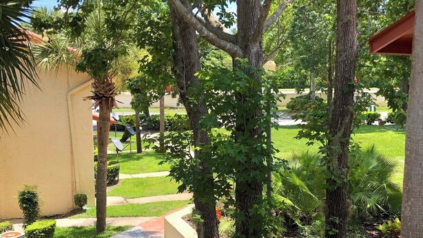 Un jardín ajardinado con un sendero pavimentado, palmeras y diversos arbustos.