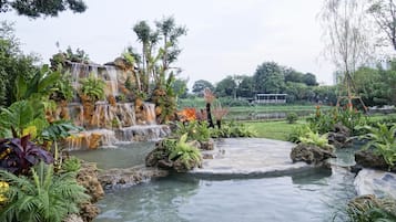 River View | View from room