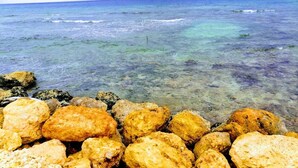 Ecotours - Bongo Beach Baru (Cartagena)