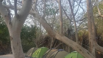 Camping - Tent Only | Free WiFi