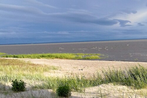 A small and comfortable apartment near the sea