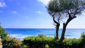 Un paysage côtier offrant une vue dégagée sur la mer, avec une zone herbeuse et un arbre.