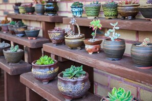 Lối vào nơi lưu trú