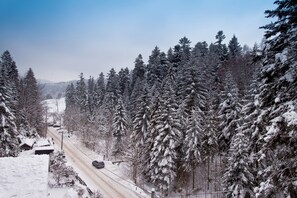 A snow-covered road flanked by dense evergreen trees.