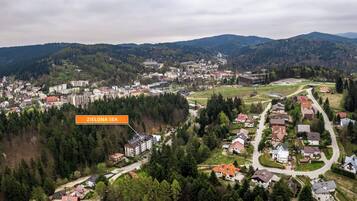 An aerial view of a town with a mix of residential and commercial buildings, surrounded by forested hills.