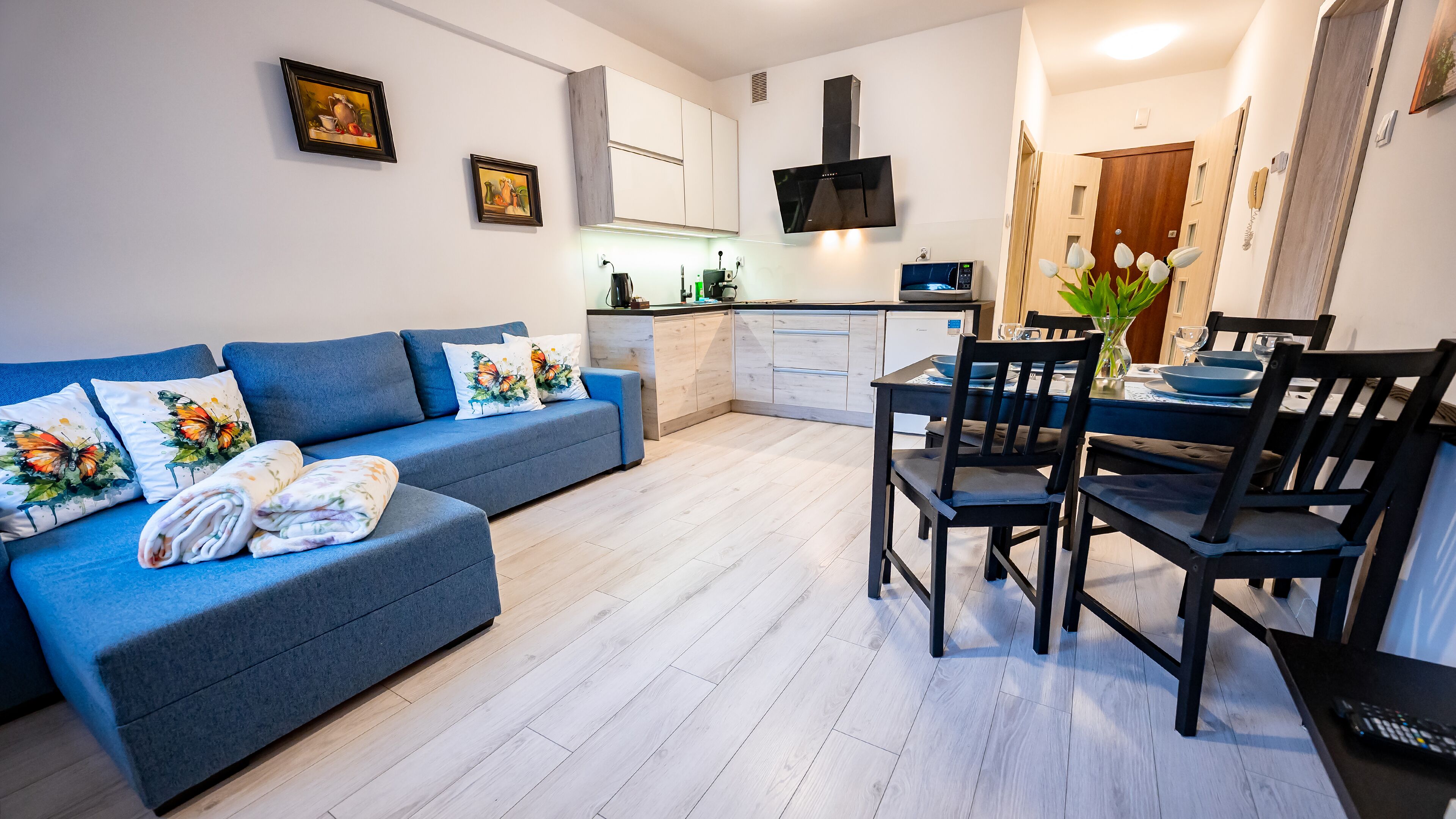 อพาร์ทเมนท์ (16) | บริเวณนั่งเล่น | ทีวีจอแบน