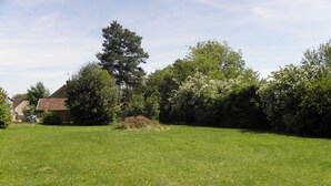 A grassy outdoor area with a large tree and a pile of branches.