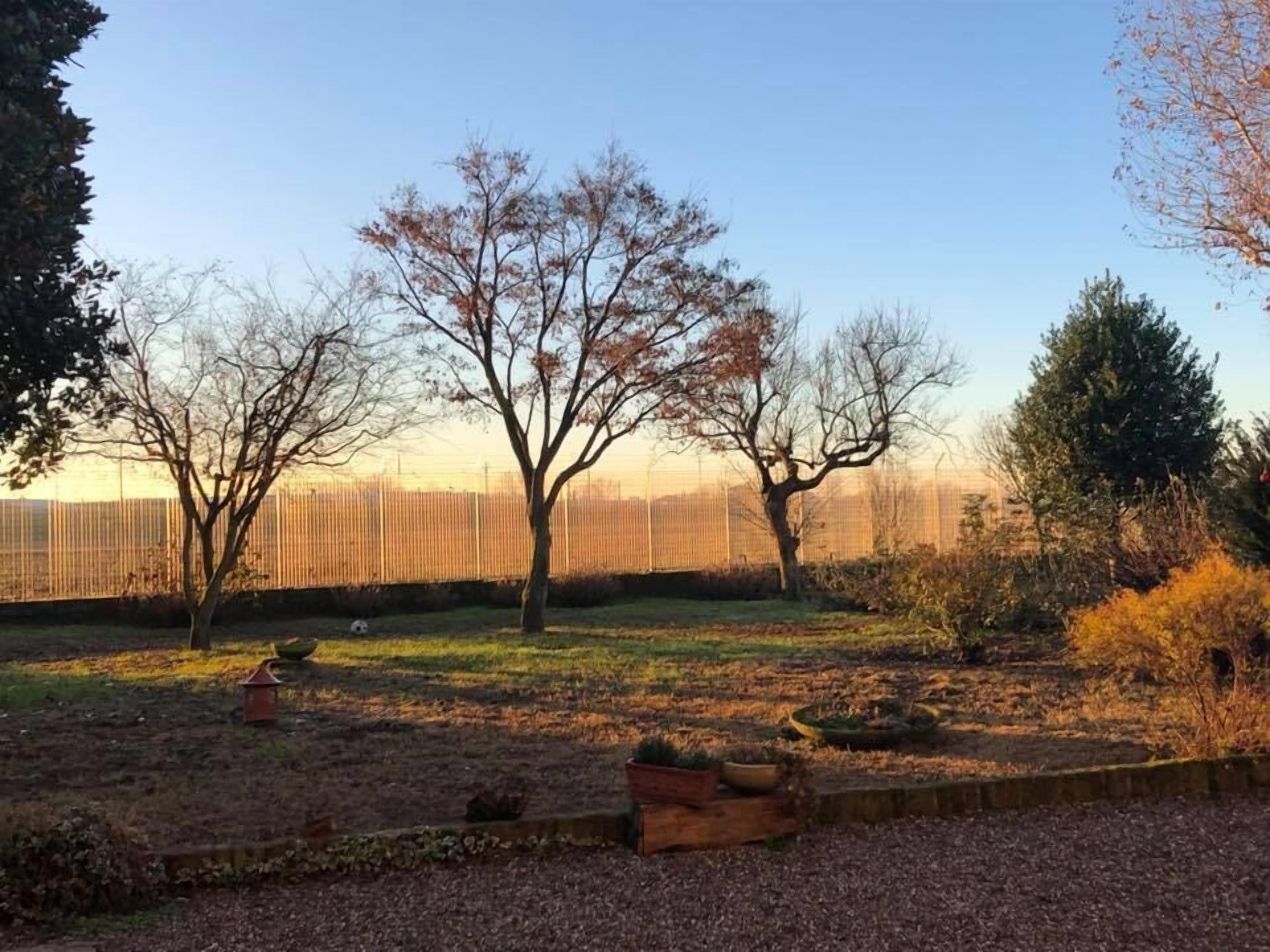A garden with trees, a fence, and a wooden bench.