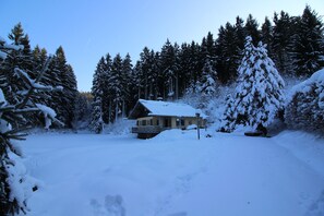 บ้านพักเบสิก, 3 ห้องนอน (Kohlbach) | วิวภูเขา