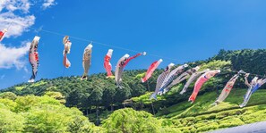 Blick auf die Umgebung