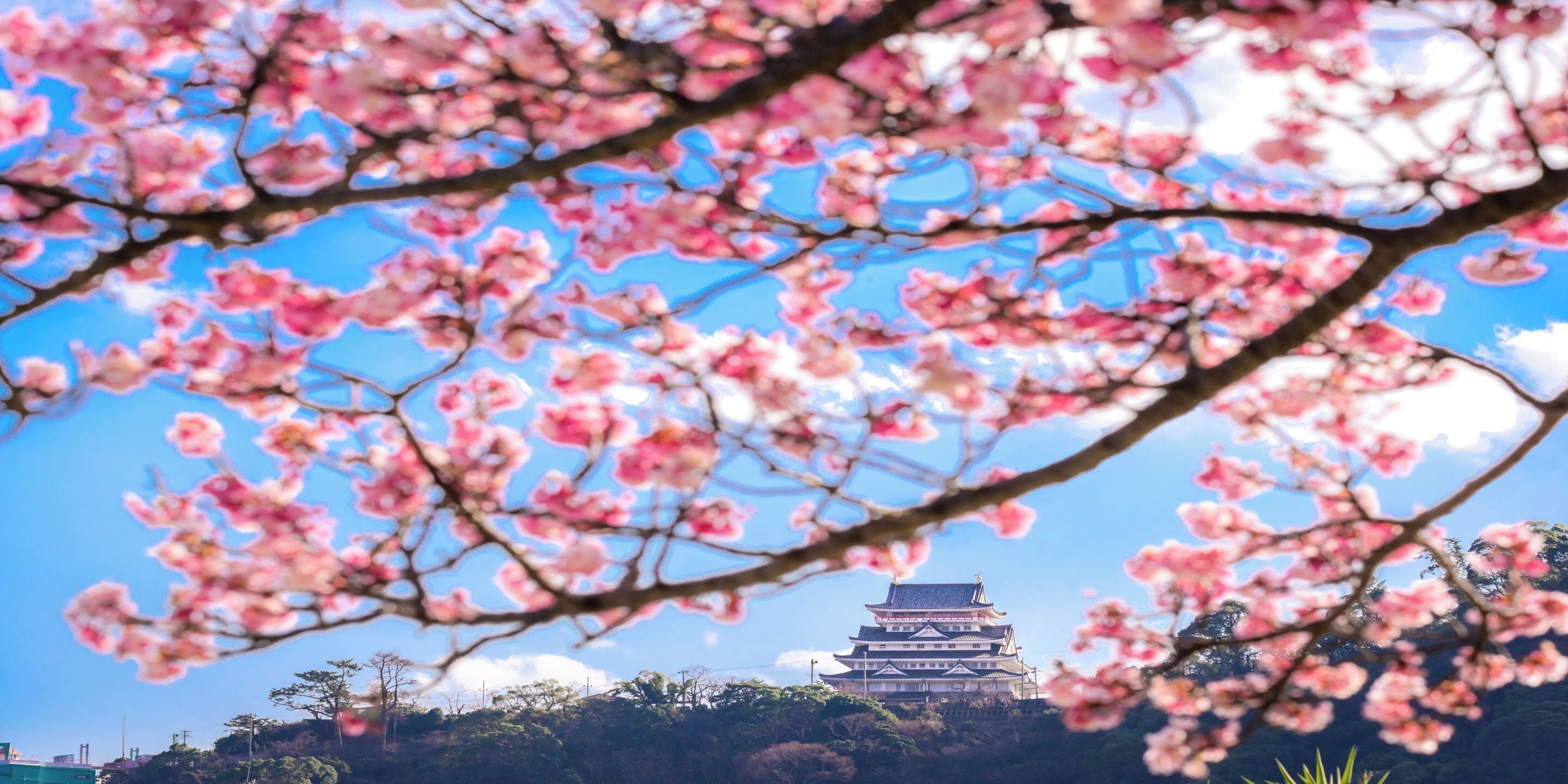 Un bâtiment traditionnel à plusieurs niveaux, avec un ciel dégagé et des fleurs de cerisier au premier plan.