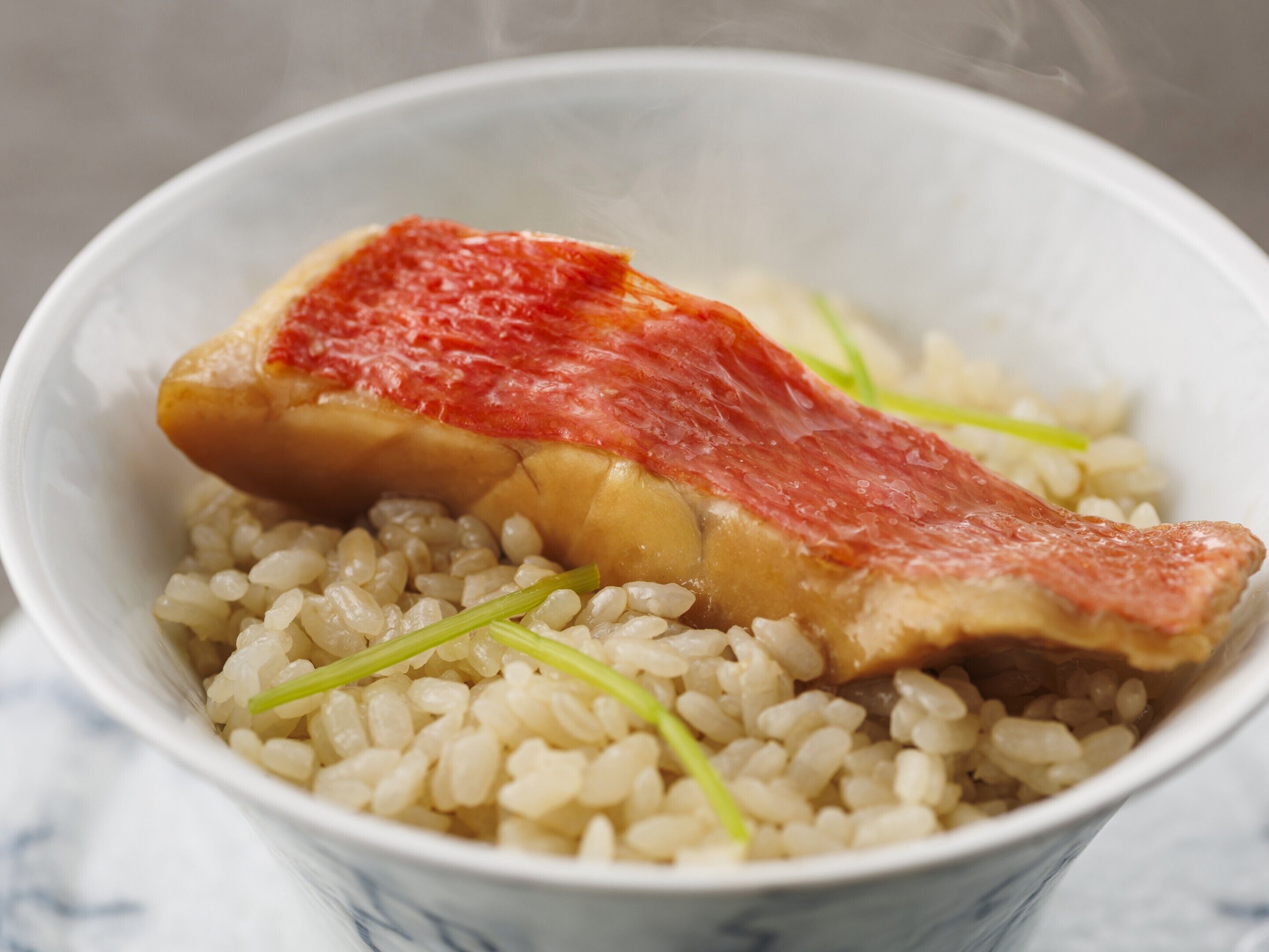 A bowl of rice with a piece of meat and green onions.