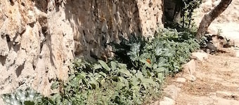 CASA RURALE EL MIRADOR DEL CORNEJA