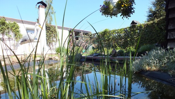 Un étang bordé de hautes herbes, un petit pont et, au fond, un bâtiment à la façade blanche.