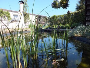 Un estany amb herbes altes, un petit pont i un edifici de façana blanca al fons.