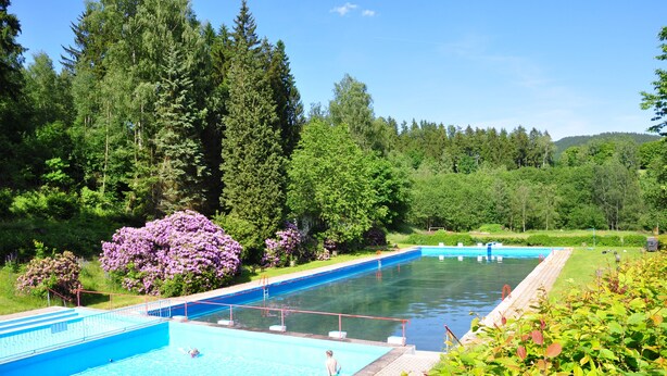 A rectangular swimming pool with a blue border, surrounded by lush greenery and tall trees. - Campingplatz Am Waldbad (Schleusingen)