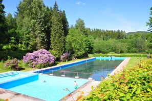 A rectangular swimming pool with a blue border, surrounded by lush greenery and tall trees. - Campingplatz Am Waldbad (Schleusingen)