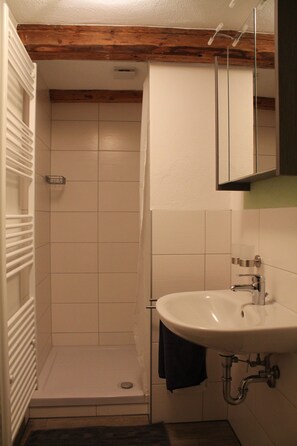 Dusche, Haartrockner, Handtücher, Toilettenpapier