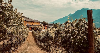 Agritur Mas Dei Chini