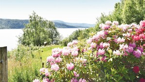 Uklassifisert bilde, 3 av 25, knapp