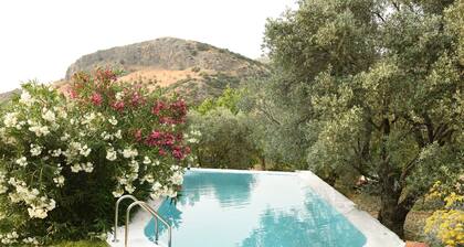 Willkommen in Villa Demeter Finka