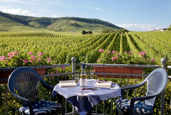 อพาร์ทเมนท์, 1 ห้องนอน (Weinberg) | ลานระเบียง/นอกชาน