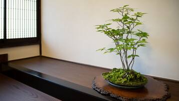 Ein Bonsai-Baum auf einer Holzschale auf einem dunklen Holztisch vor einer schlichten Wand.