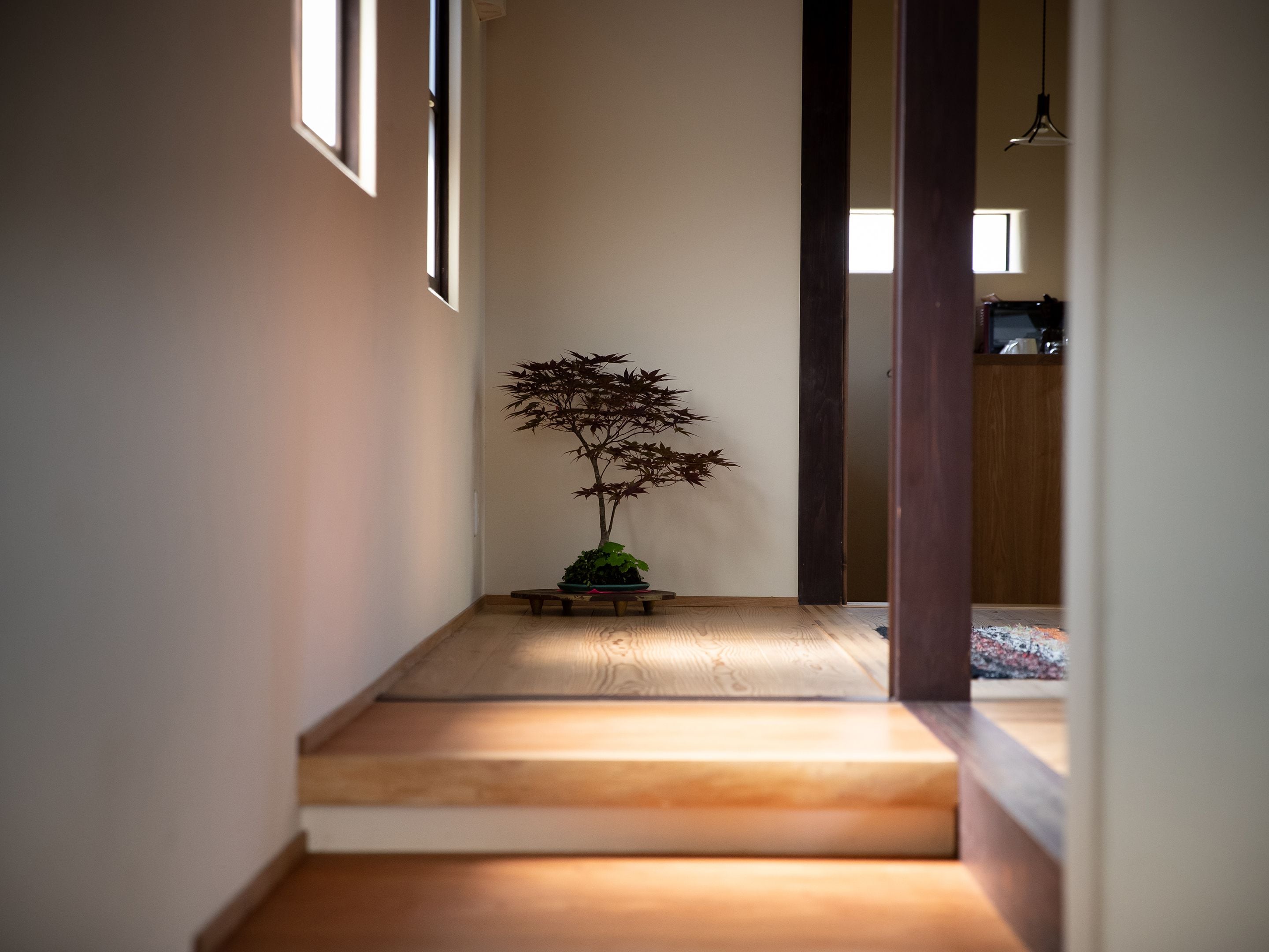A narrow hallway with a wooden floor, a potted plant, and a wooden bench.