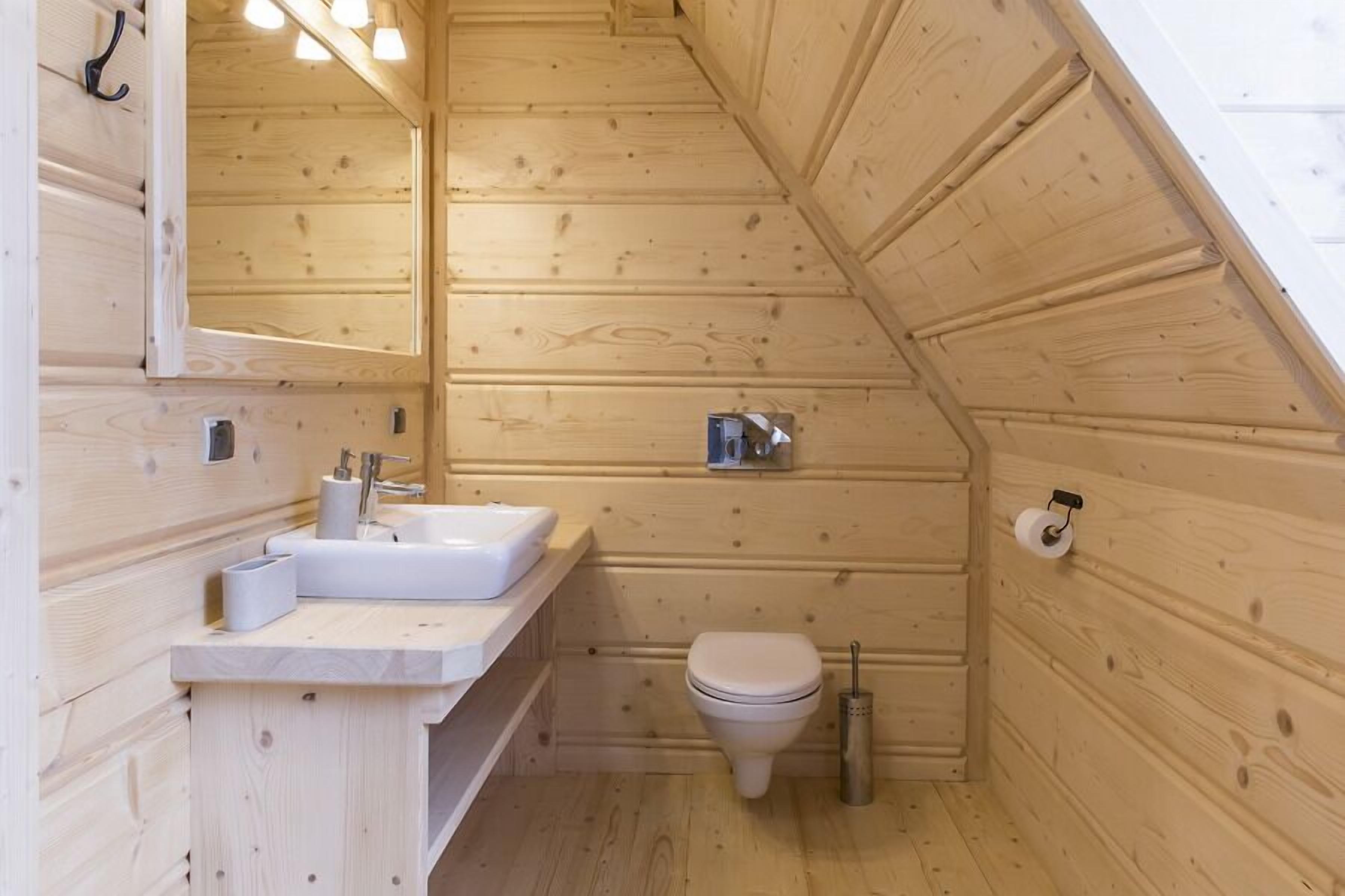 Une salle de bain rustique, aménagée dans une cabane en bois, avec un lavabo, des toilettes et un miroir.