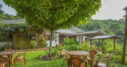 The Hilltop Eco Homestay