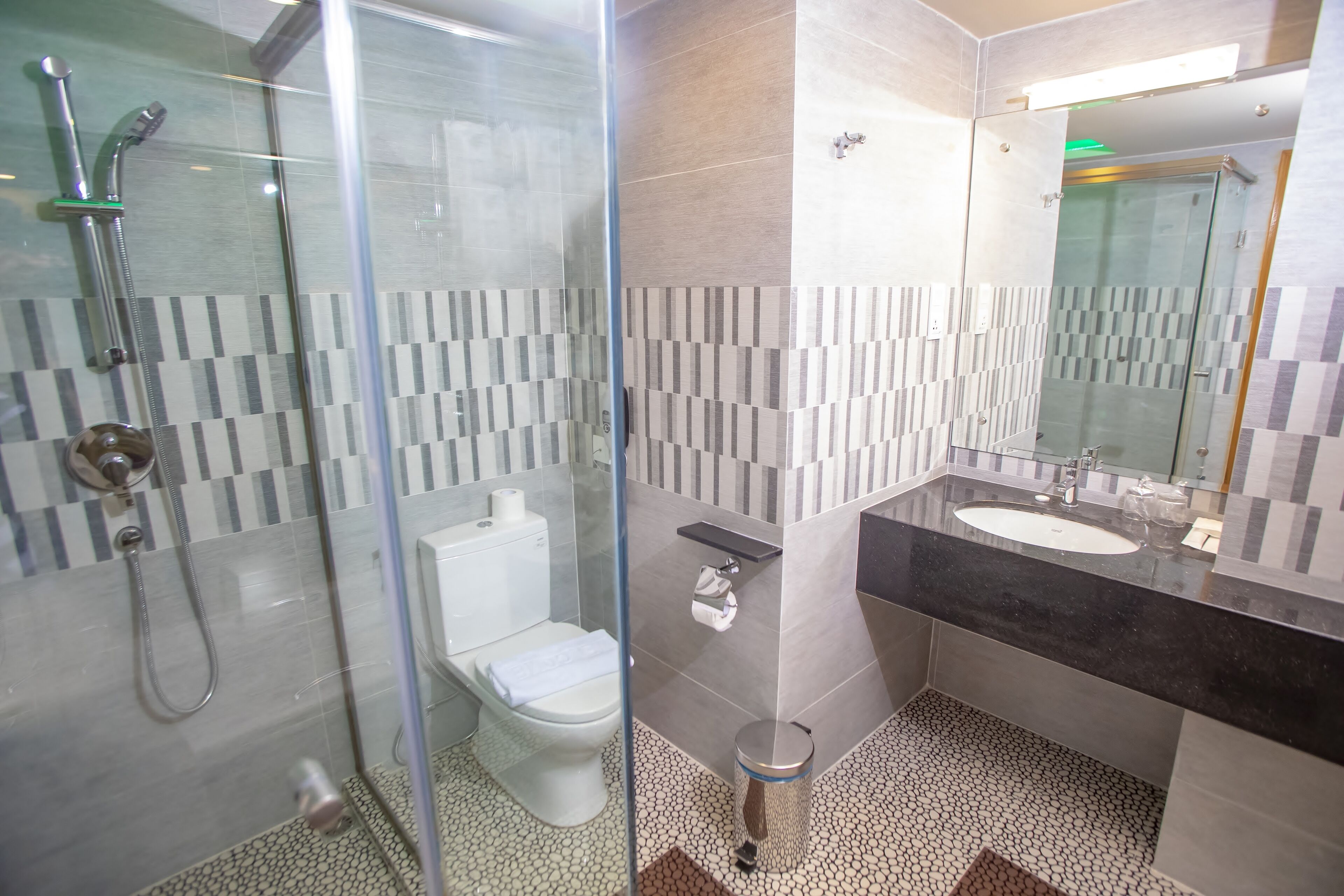 A modern bathroom with a glass-enclosed shower, a toilet, a sink, and a mirror.
