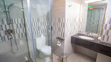 A modern bathroom with a glass-enclosed shower, a toilet, a sink, and a mirror.