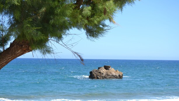 Paesaggio costiero con un albero a sbalzo sull'acqua, un affioramento roccioso e un cielo azzurro intenso.