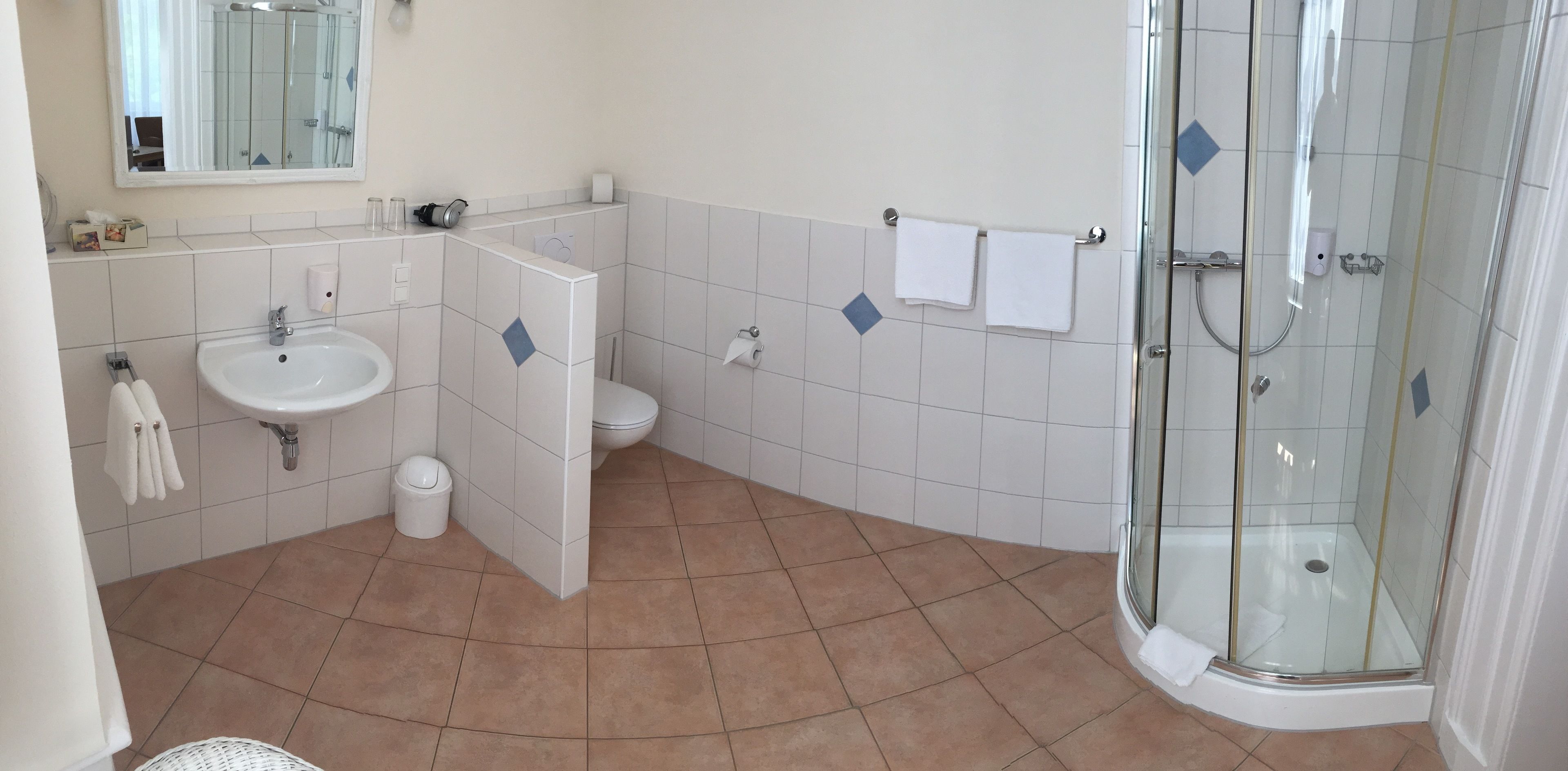 A modern bathroom with a glass-enclosed shower, a sink, a toilet, and a mirror.