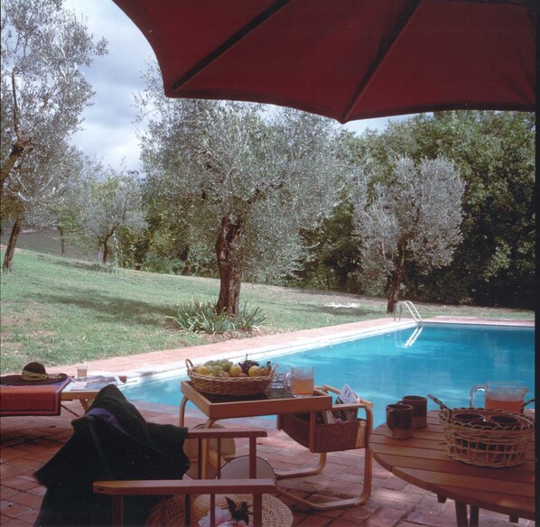 Outdoor pool, sun loungers
