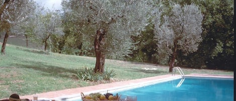 Piscine extérieure, chaises longues