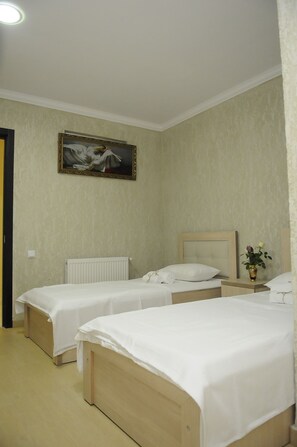 1 dormitorio y wifi