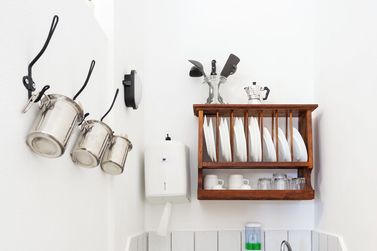 Una cocina con un fregadero, un escurreplatos y una pequeña planta en la pared.