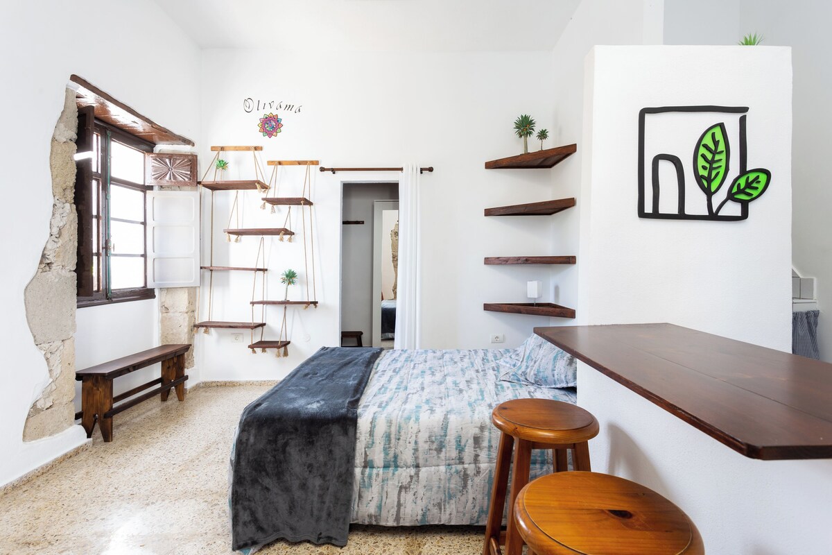 Un dormitorio con cama, banca de madera y escritorio con taburetes. Se observan estantes con plantas y una obra de arte en la pared.