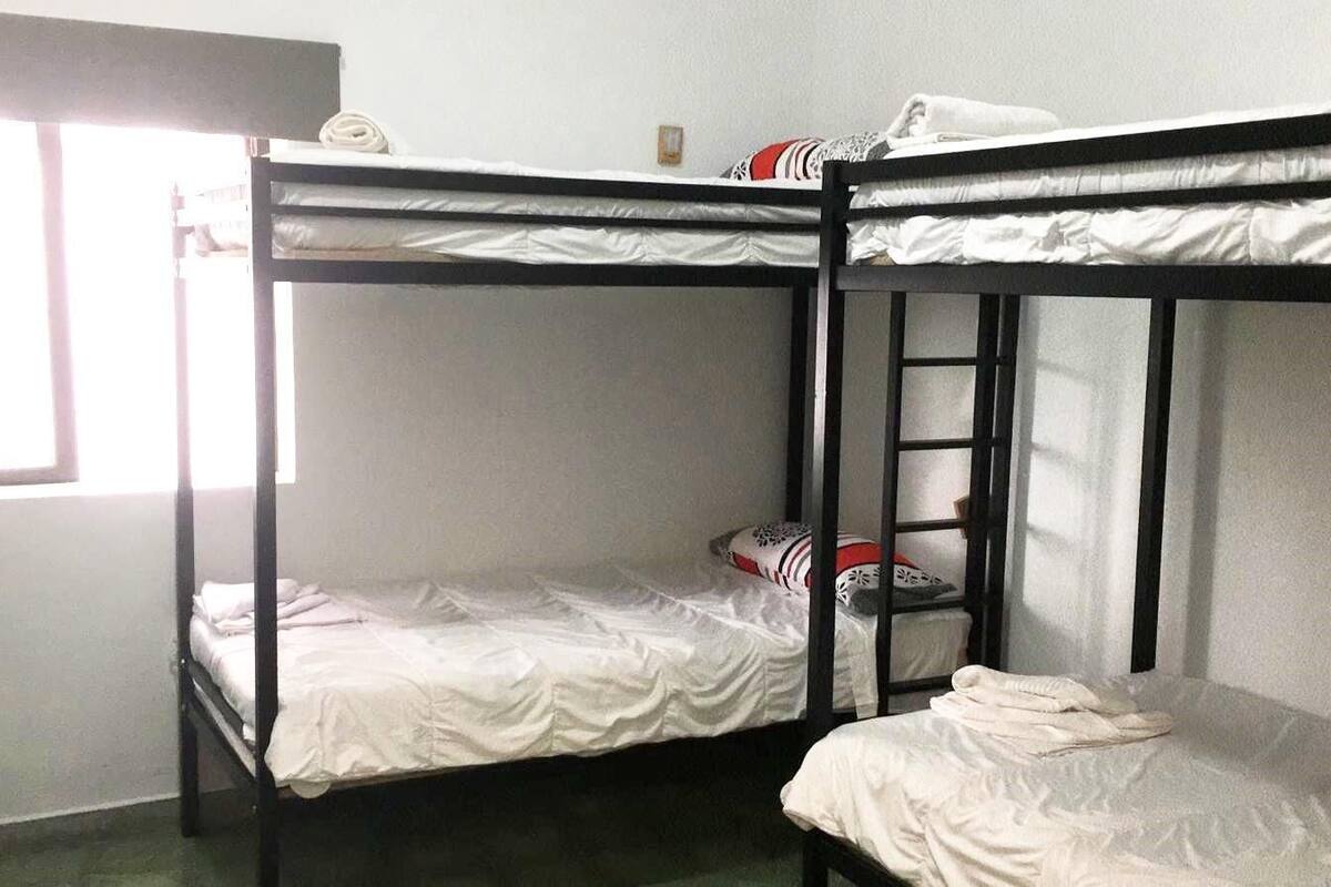 A bunk bed room with two beds, a ladder, and a window.