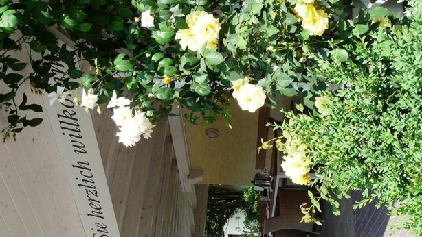 Property grounds - Landhaus Hohenlohe (Rot am See)