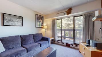 Tv, dvd-spelare, böcker och en stereo