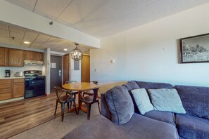 TV, DVD player, books, stereo - Mountain view condo with full kitchen and free WiFi (Killington)