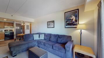 Televisie, een dvd-speler, boeken en een stereo