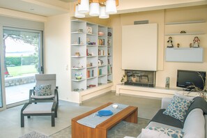 TV, fireplace, books