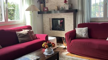 Télévision, cheminée, livres