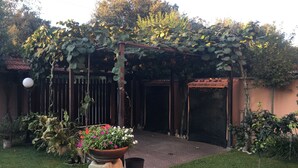 Un patio techado con pérgola, plantas en macetas y un sendero que lleva a una puerta.