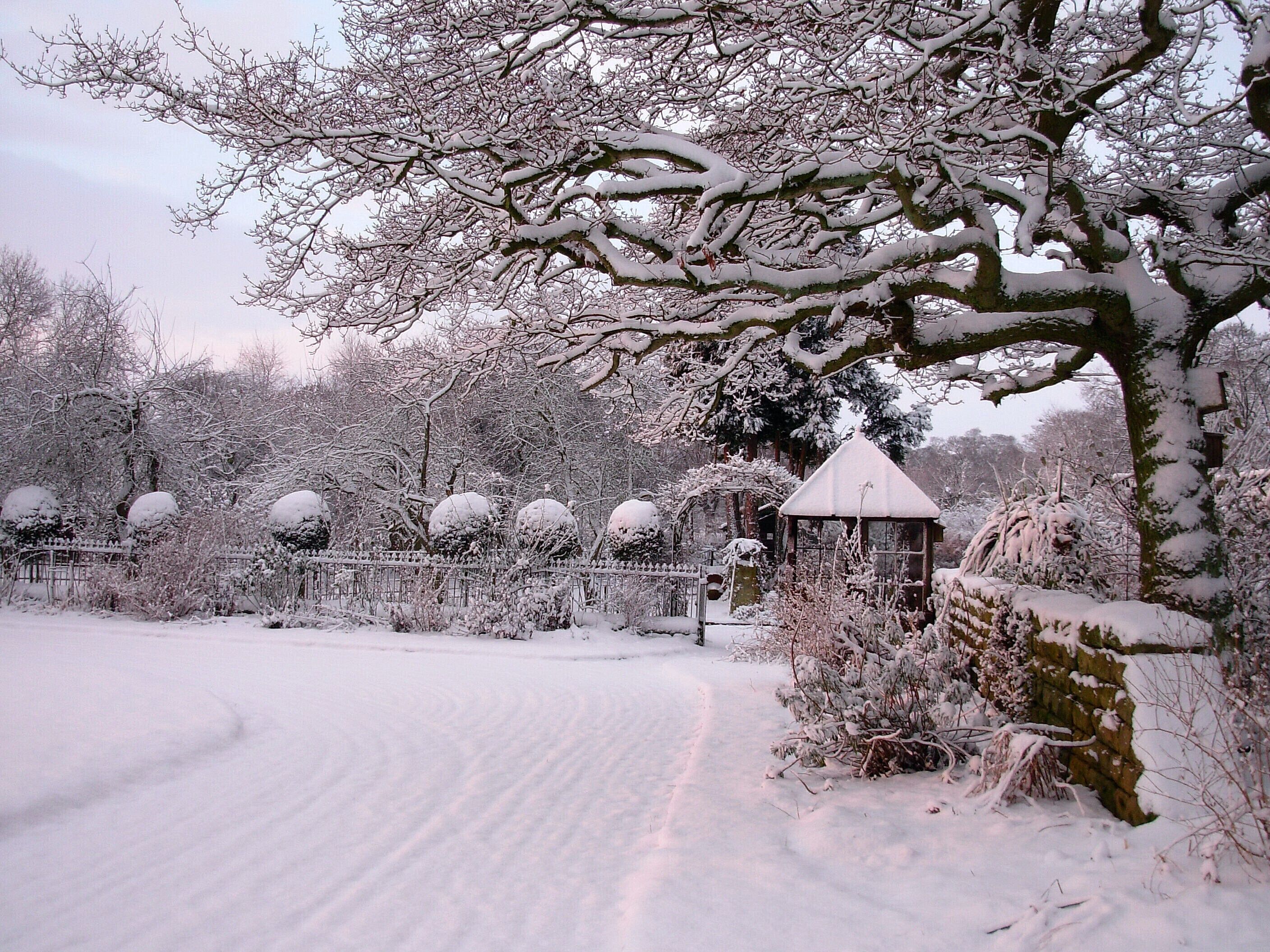 Winter garden